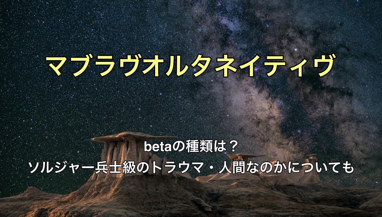 戦車級 BETAパーカー XLサイズ マヴラブ